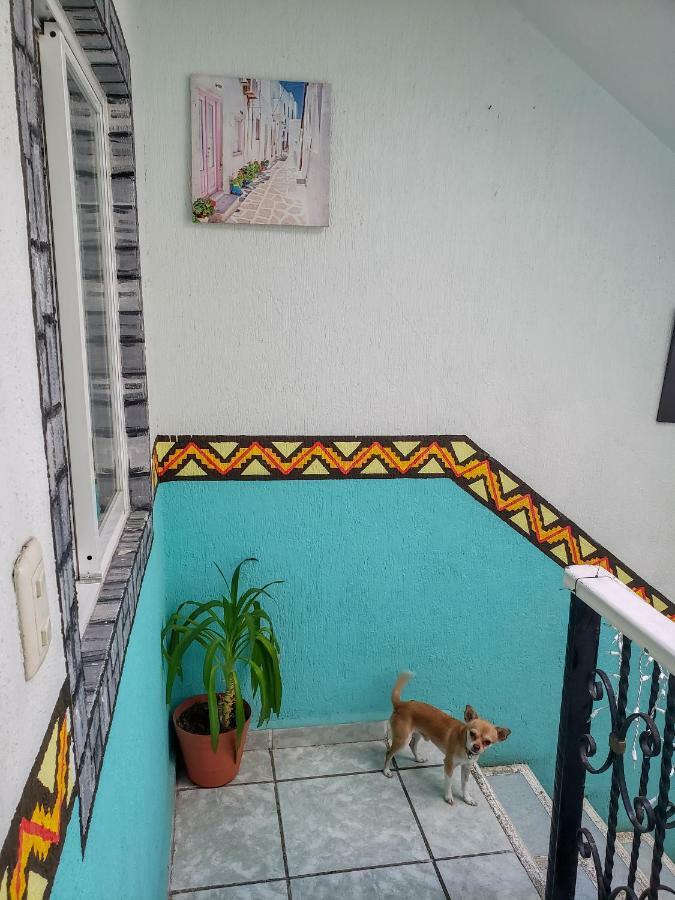 Posada Paso Del Sol Isla Mujeres Εξωτερικό φωτογραφία